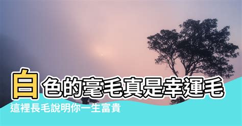 背部長毛|這裡長毛說明你一生富貴